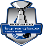 Кубок Франции